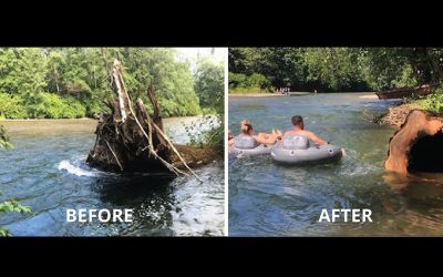 Dangerous Tree removed from Puntledge River